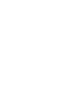 SSEBL