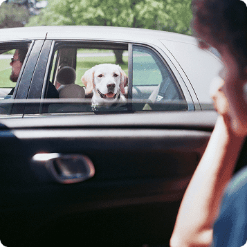 Parkering illustration